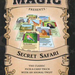 Secret Safari